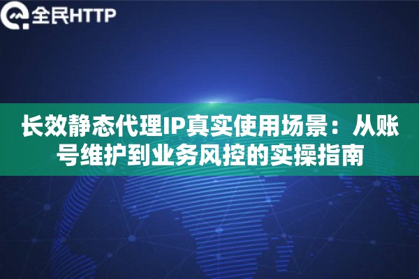 长效静态代理IP真实使用场景：从账号维护到业务风控的实操指南