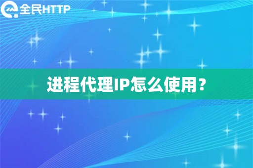 进程代理IP怎么使用？