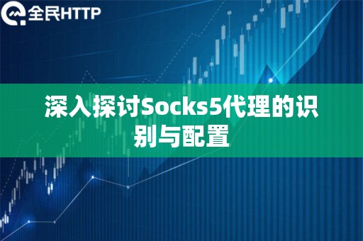 深入探讨Socks5代理的识别与配置