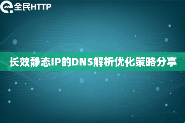 长效静态IP的DNS解析优化策略分享