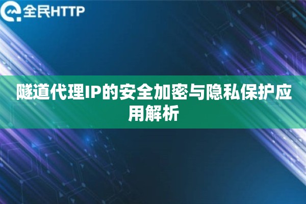 隧道代理IP的安全加密与隐私保护应用解析