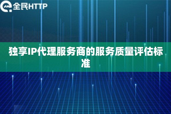 独享IP代理服务商的服务质量评估标准