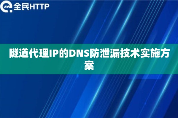 隧道代理IP的DNS防泄漏技术实施方案