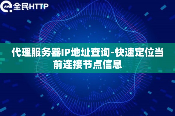 代理服务器IP地址查询-快速定位当前连接节点信息