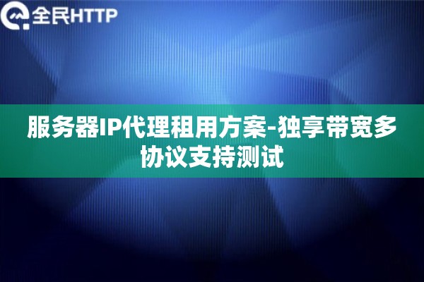 服务器IP代理租用方案-独享带宽多协议支持测试