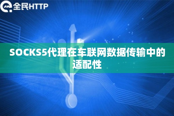 SOCKS5代理在车联网数据传输中的适配性