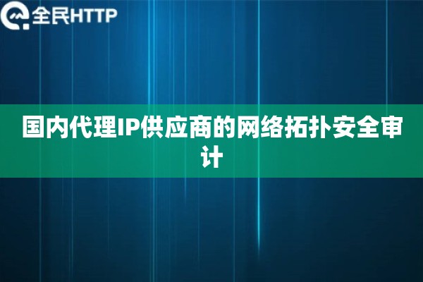 国内代理IP供应商的网络拓扑安全审计