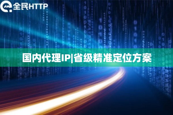 国内代理IP|省级精准定位方案