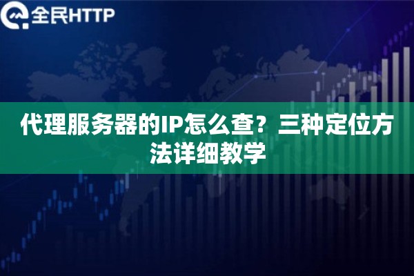 代理服务器的IP怎么查？三种定位方法详细教学