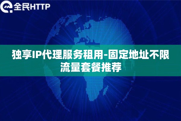 独享IP代理服务租用-固定地址不限流量套餐推荐