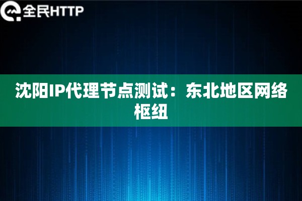 沈阳IP代理节点测试：东北地区网络枢纽