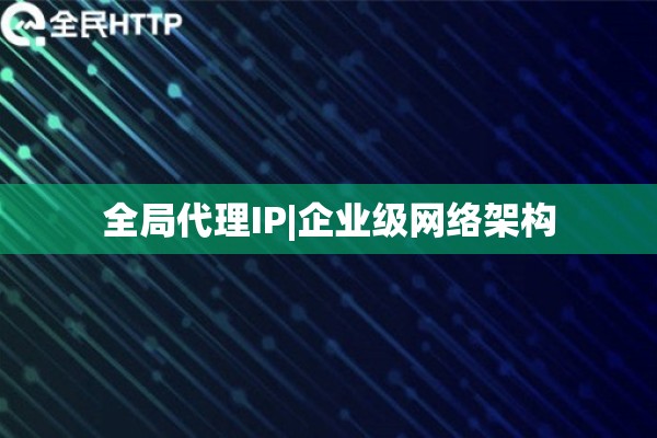 全局代理IP|企业级网络架构