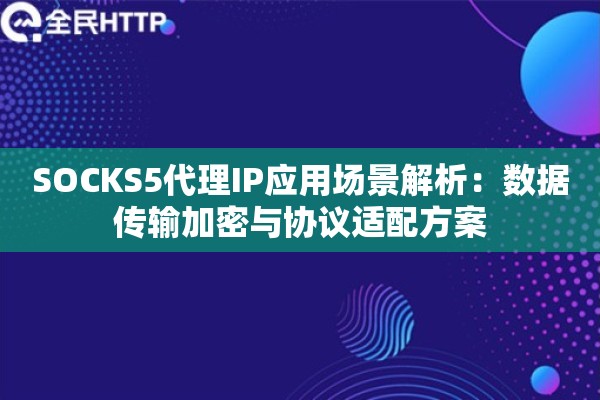 SOCKS5代理IP应用场景解析：数据传输加密与协议适配方案