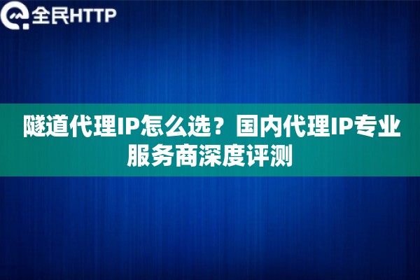隧道代理IP怎么选？国内代理IP专业服务商深度评测