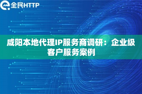 咸阳本地代理IP服务商调研：企业级客户服务案例
