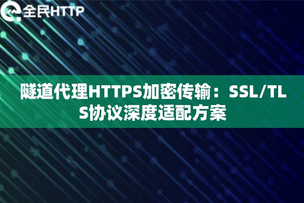 隧道代理HTTPS加密传输：SSL/TLS协议深度适配方案