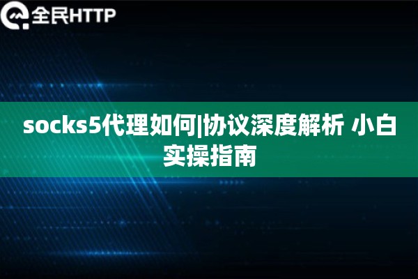 socks5代理如何|协议深度解析 小白实操指南