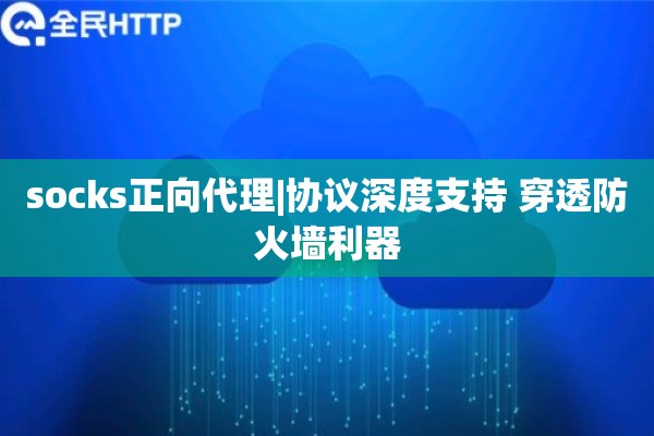 socks正向代理|协议深度支持 穿透防火墙利器