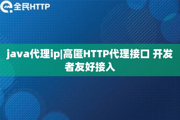 java代理ip|高匿HTTP代理接口 开发者友好接入