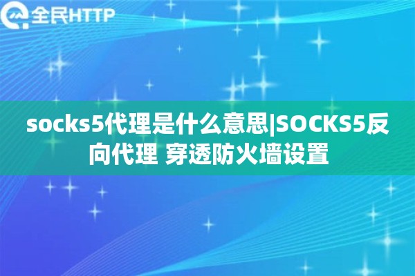 socks5代理是什么意思|SOCKS5反向代理 穿透防火墙设置