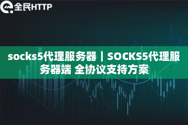 socks5代理服务器｜SOCKS5代理服务器端 全协议支持方案