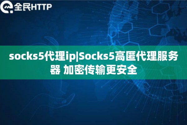 socks5代理ip|Socks5高匿代理服务器 加密传输更安全