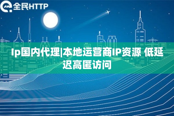 Ip国内代理|本地运营商IP资源 低延迟高匿访问