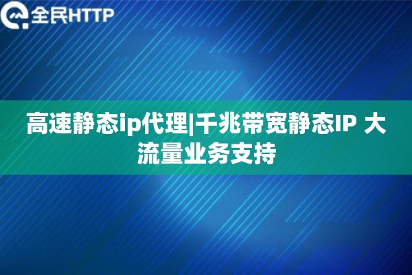 高速静态ip代理|千兆带宽静态IP 大流量业务支持