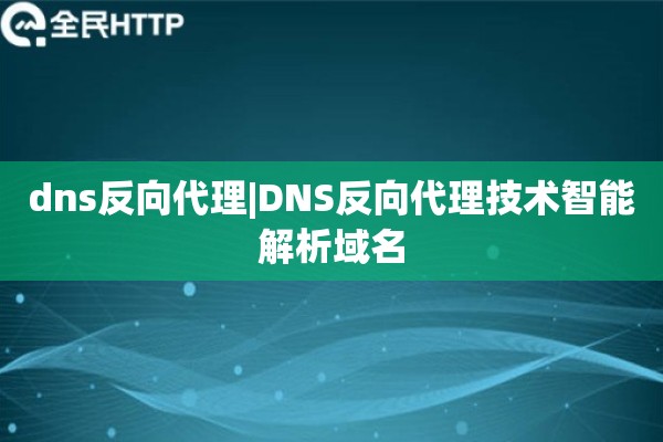 dns反向代理|DNS反向代理技术智能解析域名