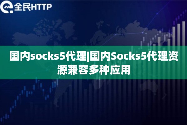 国内socks5代理|国内Socks5代理资源兼容多种应用