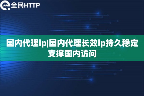 国内代理ip|国内代理长效ip持久稳定支撑国内访问