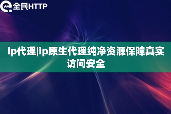 ip代理|ip原生代理纯净资源保障真实访问安全
