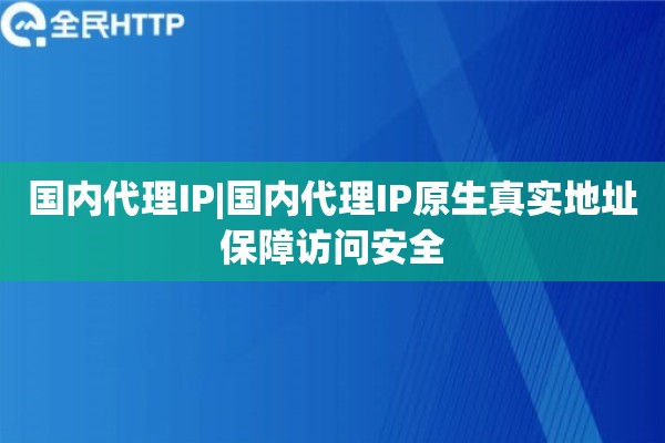国内代理IP|国内代理IP原生真实地址保障访问安全