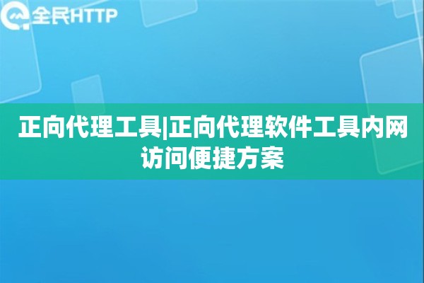 正向代理工具|正向代理软件工具内网访问便捷方案