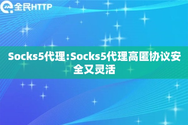 Socks5代理:Socks5代理高匿协议安全又灵活