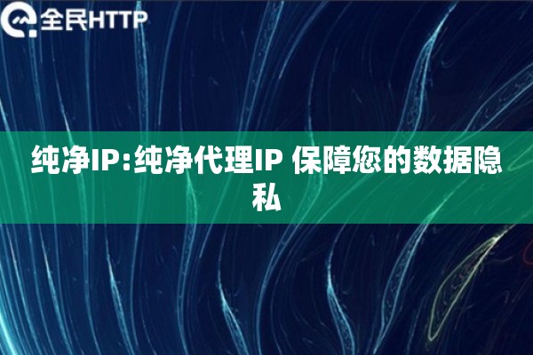 纯净IP:纯净代理IP 保障您的数据隐私