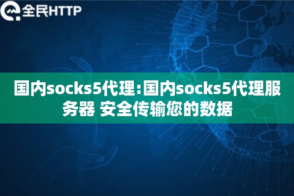 国内socks5代理:国内socks5代理服务器 安全传输您的数据