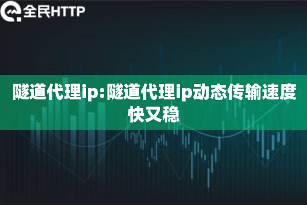隧道代理ip:隧道代理ip动态传输速度快又稳