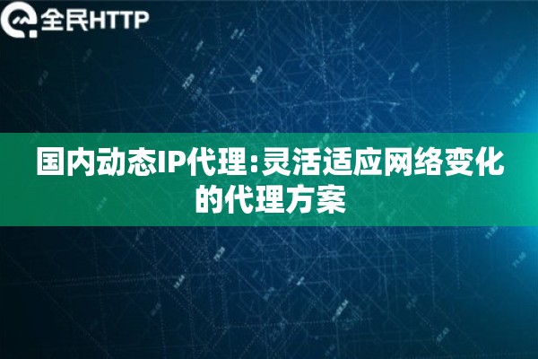 国内动态IP代理:灵活适应网络变化的代理方案