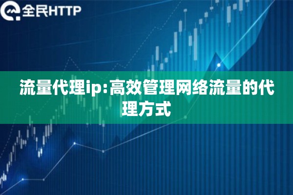 流量代理ip:高效管理网络流量的代理方式