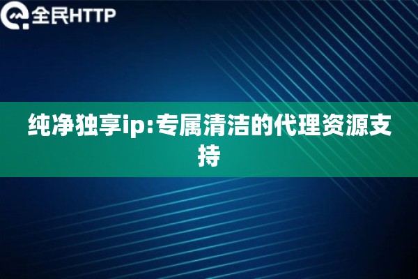 纯净独享ip:专属清洁的代理资源支持