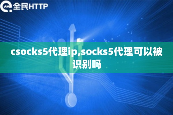 csocks5代理ip,socks5代理可以被识别吗