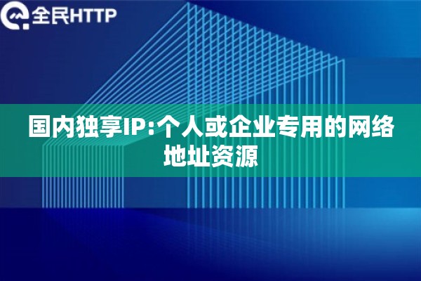 国内独享IP:个人或企业专用的网络地址资源