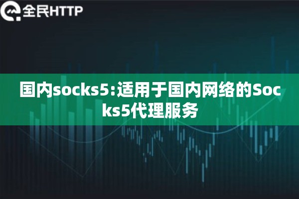 国内socks5:适用于国内网络的Socks5代理服务