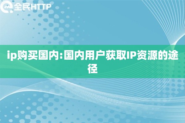 ip购买国内:国内用户获取IP资源的途径