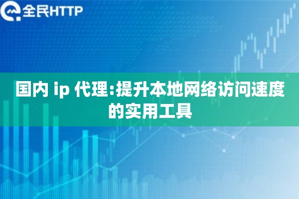 国内 ip 代理:提升本地网络访问速度的实用工具