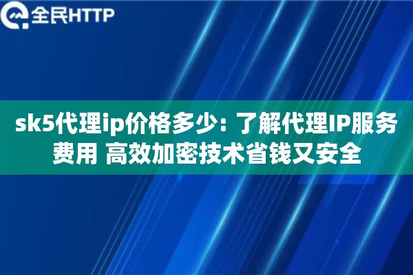 sk5代理ip价格多少: 了解代理IP服务费用 高效加密技术省钱又安全
