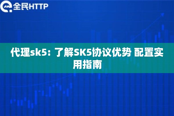 代理sk5: 了解SK5协议优势 配置实用指南