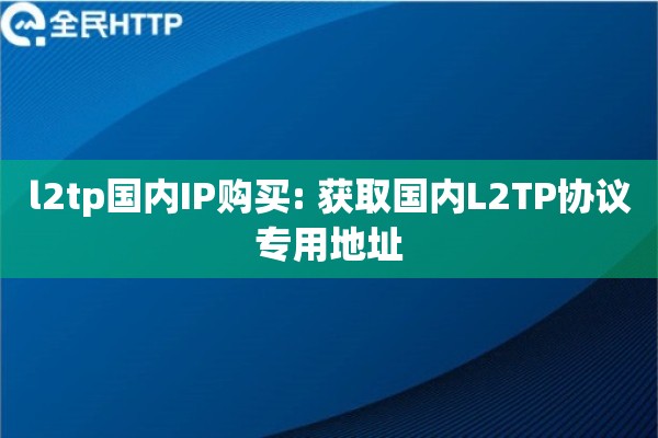 l2tp国内IP购买: 获取国内L2TP协议专用地址