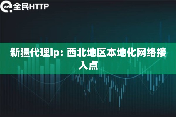新疆代理ip: 西北地区本地化网络接入点